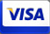 Visa Logo